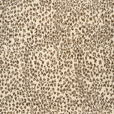 Leopard New